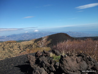nte Zappinazzo-04-11-2012 10-57-14